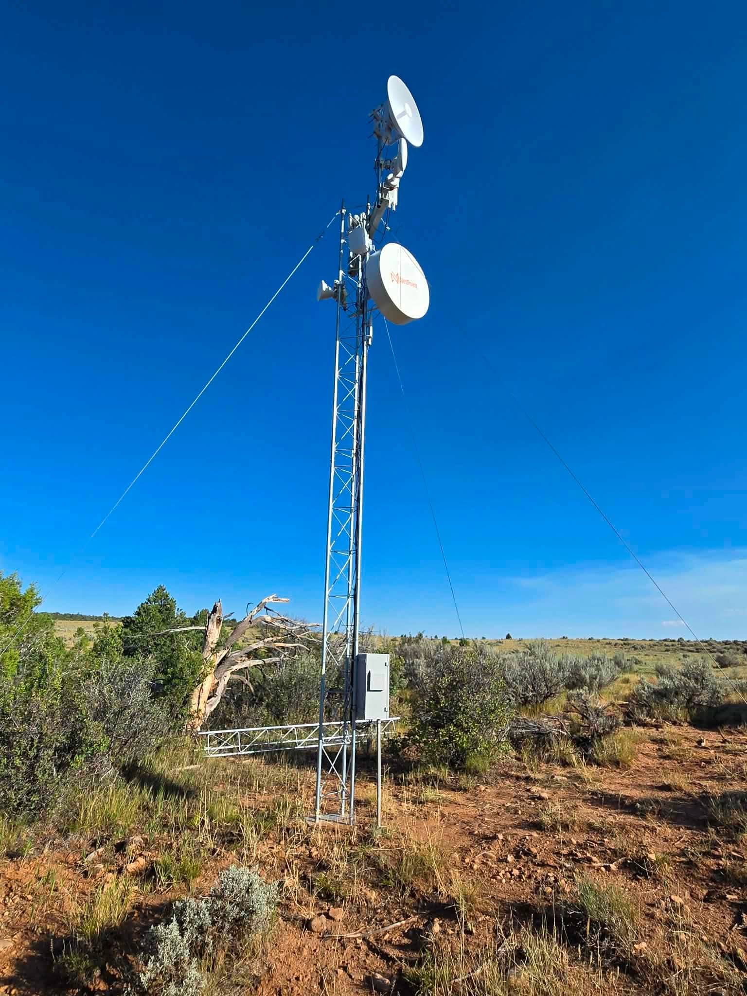 Netpoint NPUW2 y Force 4600c en Colorado