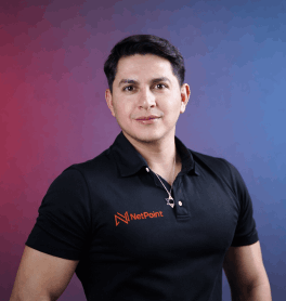 David Álvarez - NetPoint Antennas