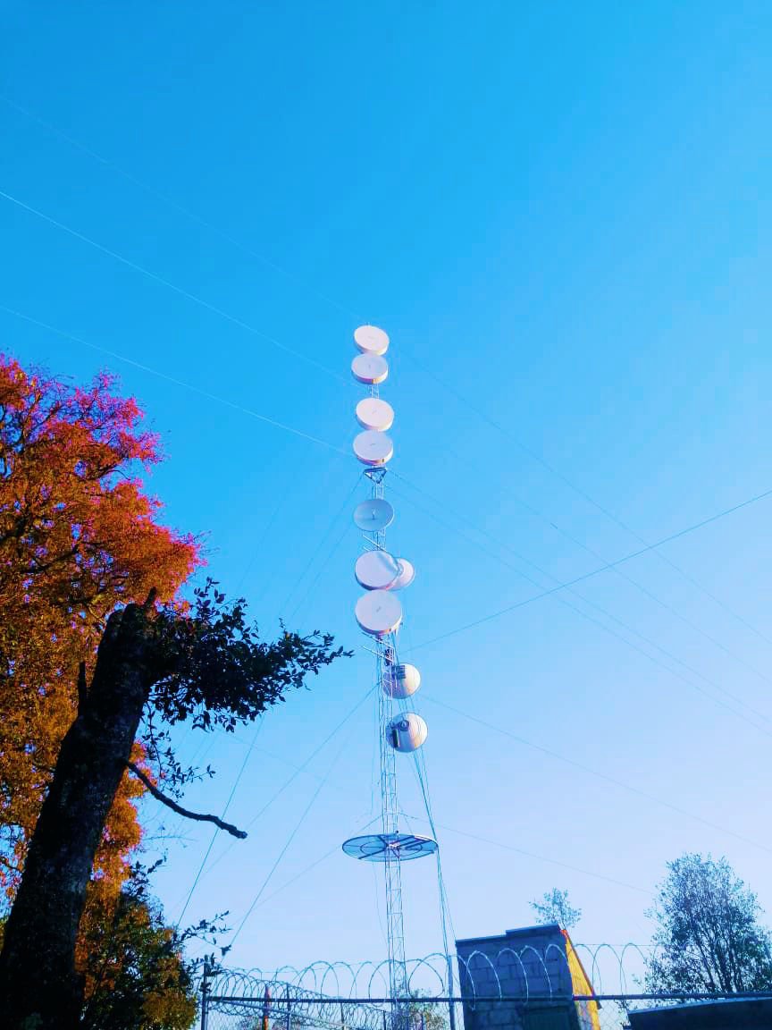 Armadura para antena RDg34